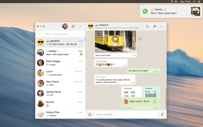 Imagen - Descarga la nueva aplicación de WhatsApp nativa en Mac