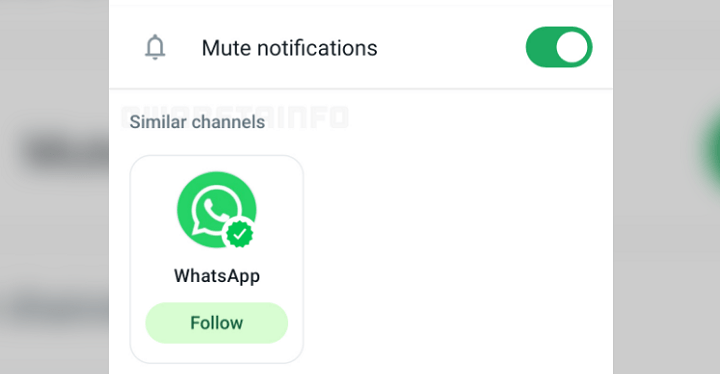 Imagen - WhatsApp te sugerirá canales a los que seguir basándose en tus intereses