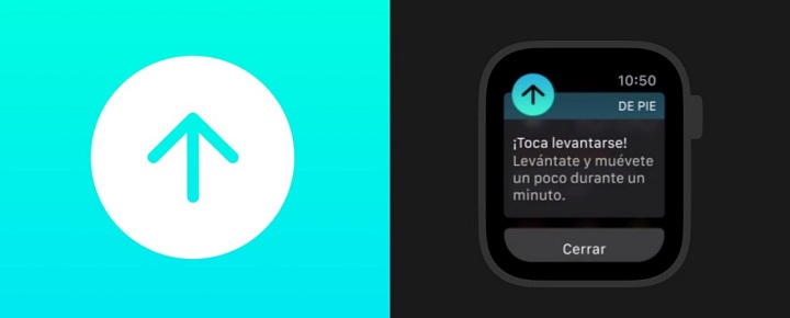 Imagen - ¿Qué son los anillos de actividad de tu Apple Watch?