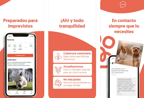 Imagen - 6 mejores apps para encontrar cuidadores de perros y gatos