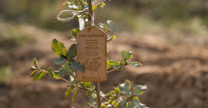 Imagen - Quien tiene un amigo, tiene un árbol: la iniciativa de Pepephone que cuida el planeta