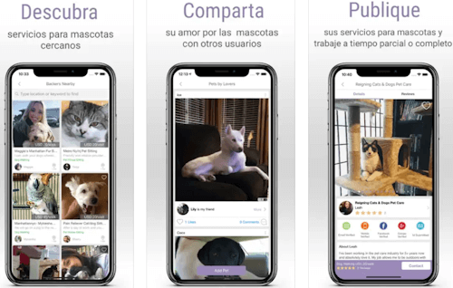 Imagen - 6 mejores apps para encontrar cuidadores de perros y gatos