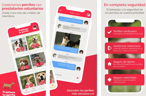 Imagen - 6 mejores apps para encontrar cuidadores de perros y gatos