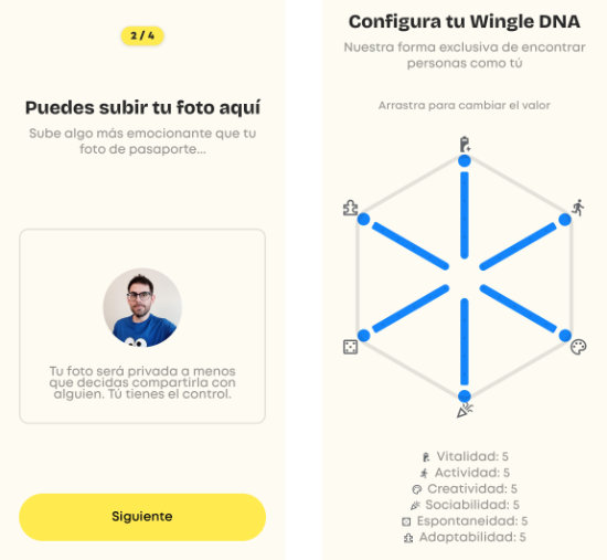 Imagen - Wingle: qué es y cómo funciona