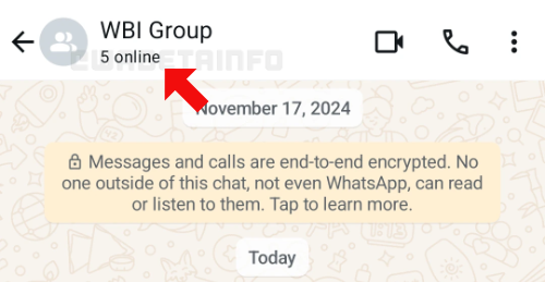 Imagen - WhatsApp indicará el número de contactos online en los grupos