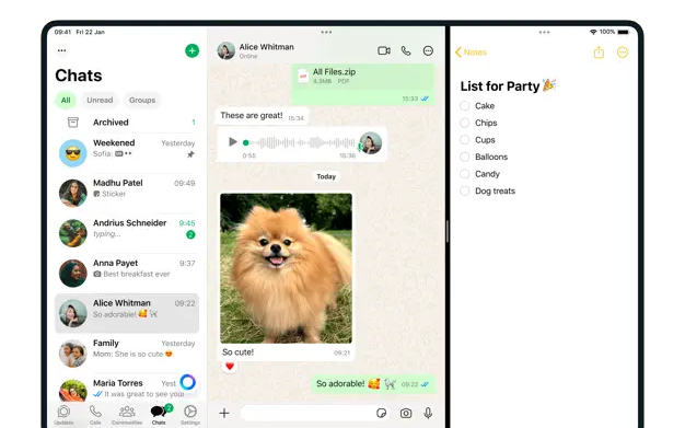 Imagen - Descarga WhatsApp para iPad