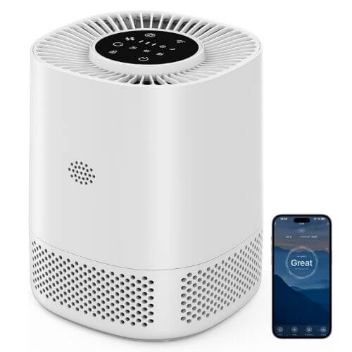 Imagen - 7 mejores purificadores de aire inteligentes para el hogar