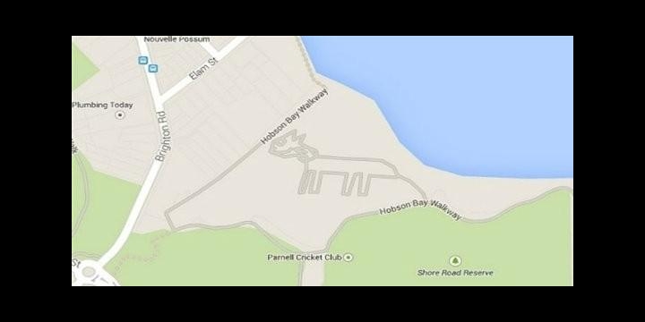 Descubren un misterioso gato en Google Maps