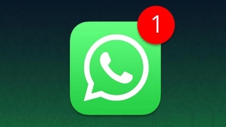 Cómo saber a qué hora han leído tu mensaje en WhatsApp