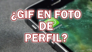 ¿Es posible poner un GIF como foto de perfil en WhatsApp?