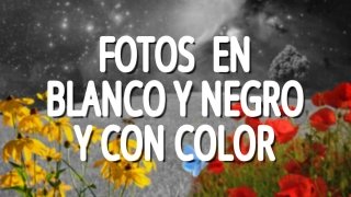 Cómo crear fotos con zonas en color y en blanco y negro