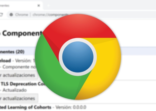 Cómo usar Chrome Components para actualizar tus complementos