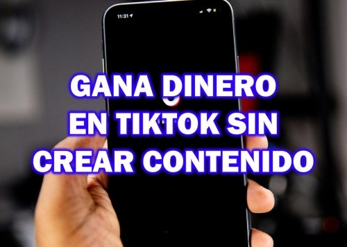 Cómo ganar dinero en TikTok sin crear contenido