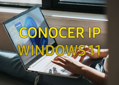 Cómo ver tu dirección IP en Windows 11