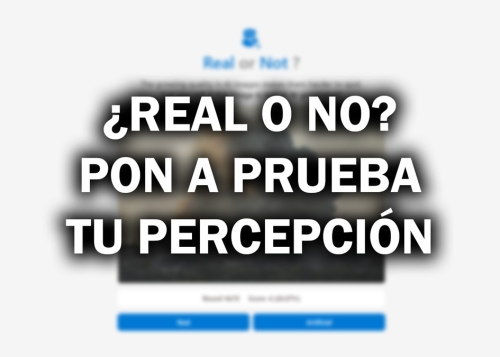 ¿Puedes distinguir una foto real de una foto de la IA? Con este test online lo sabrás