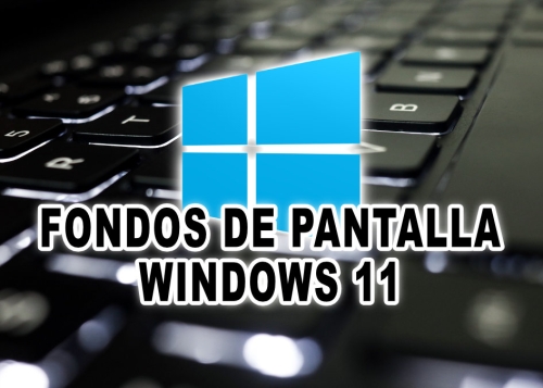Descargar los fondos de pantalla de Windows 11
