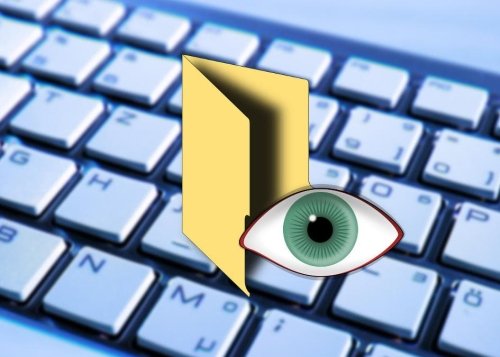 Cómo ver archivos ocultos en Windows 11