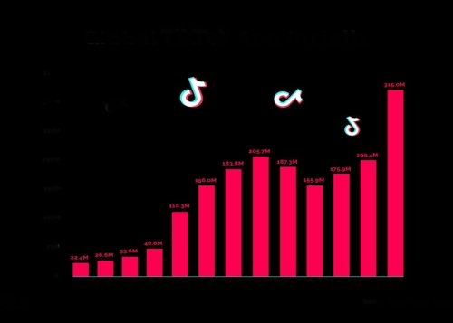 Cómo ver estadísticas de un usuario de TikTok