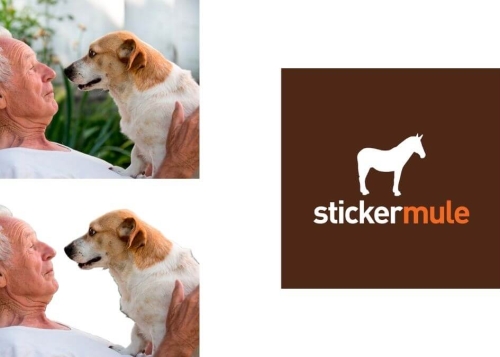 Cómo eliminar el fondo de una foto con StickerMule