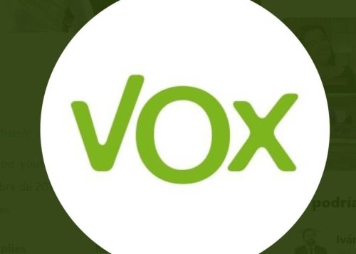 Twitter suspende la cuenta de Vox por "incitación al odio"