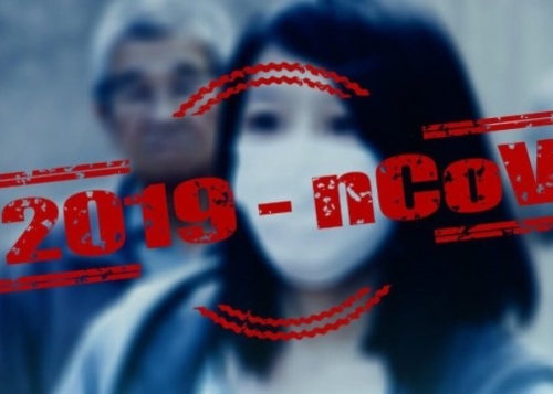 9 canales de Telegram para seguir el coronavirus