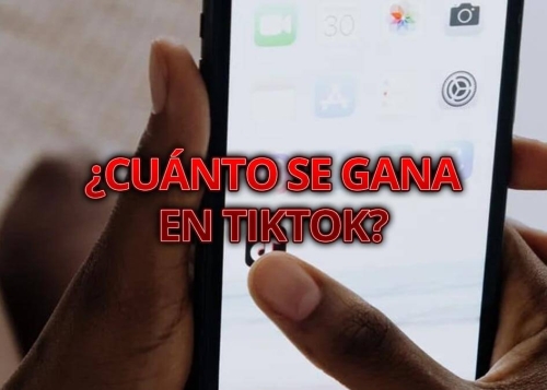 ¿Cuánto dinero se gana en TikTok?