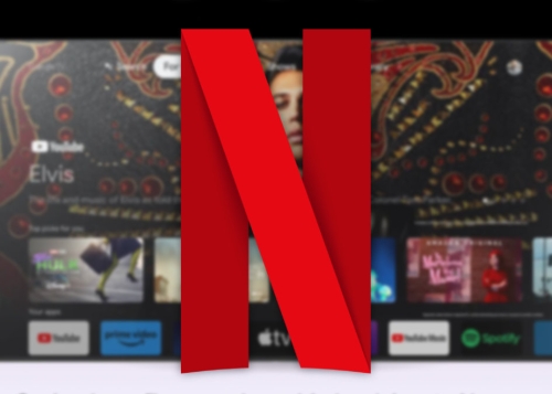 Estrenos Netflix agosto 2023: One Piece, El Elegido, Agente Stone y más