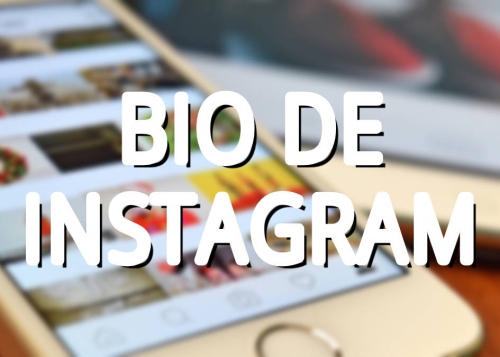 Bio de Instagram: qué es, cómo funciona y más