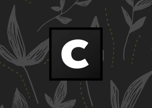 Cara, la app anti-IA a la que están migrando miles de artistas indignados con Instagram