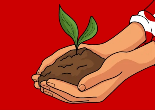 ¡Casi 12.000 árboles plantados! El bosque de Pepephone está repoblando nuestros montes y tú puedes ayudar