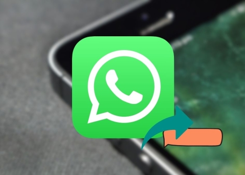 Los mensajes reenviados son una enorme fuente de bulos en WhatsApp: esta podría ser la solución