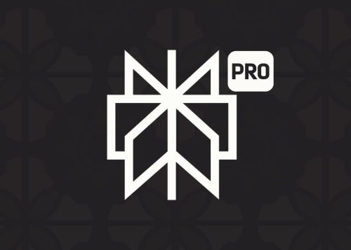 Perplexity Pro, qué es y qué se puede hacer