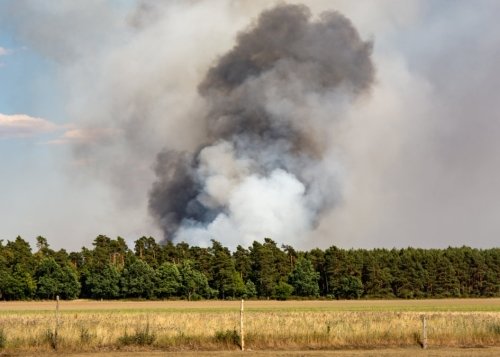 La otra cara de los incendios: los cortes en la fibra de Movistar dejan pueblos desconectados