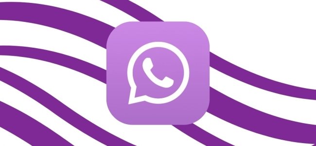 WhatsApp te quiere dejar personalizar la app pero pagando