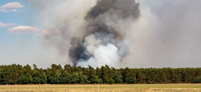 La otra cara de los incendios: los cortes en la fibra de Movistar dejan pueblos desconectados