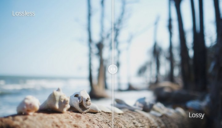 Imagen - Diferencias entre JPG, PNG, y GIF