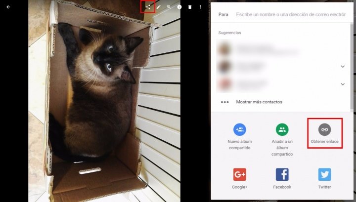 Imagen - C&oacute;mo insertar fotos de Google Fotos en cualquier web
