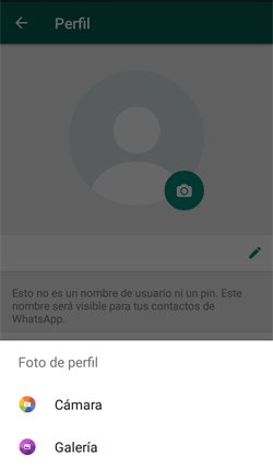 Imagen - Cómo ajustar las fotos de perfil en WhatsApp
