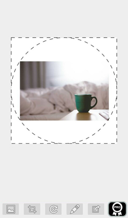 Imagen - Cómo ajustar las fotos de perfil en WhatsApp