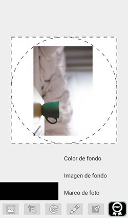 Imagen - Cómo ajustar las fotos de perfil en WhatsApp