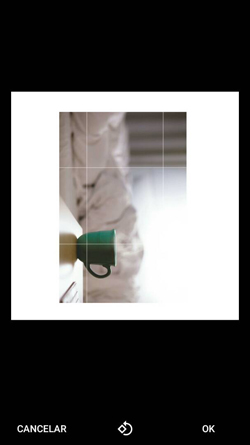 Imagen - Cómo ajustar las fotos de perfil en WhatsApp