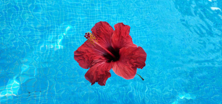 Imagen - Review: Oppo R15 Pro, un móvil con trasera de cerámica y 6 GB de RAM