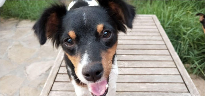 Imagen - Review: Oppo R15 Pro, un móvil con trasera de cerámica y 6 GB de RAM