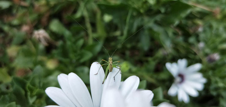 Imagen - Review: Oppo R15 Pro, un móvil con trasera de cerámica y 6 GB de RAM