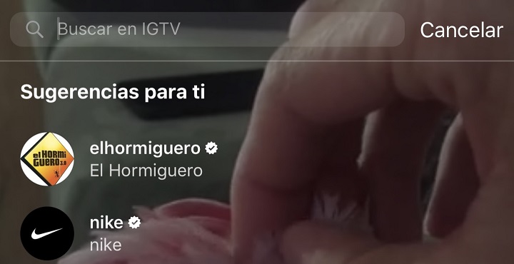 Imagen - C&oacute;mo buscar v&iacute;deos y canales en IGTV