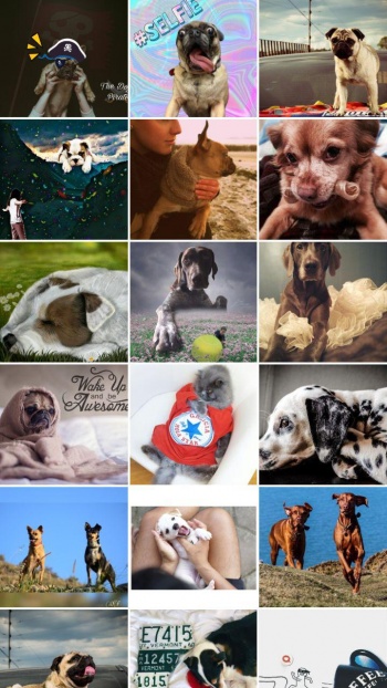 Imagen - Descarga PicsArt Photo Studio, el editor de fotos y collages