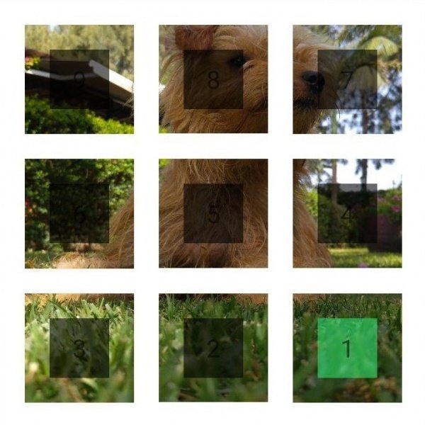 Imagen - 9Cut For Instagram, crea diseños de 9 imágenes