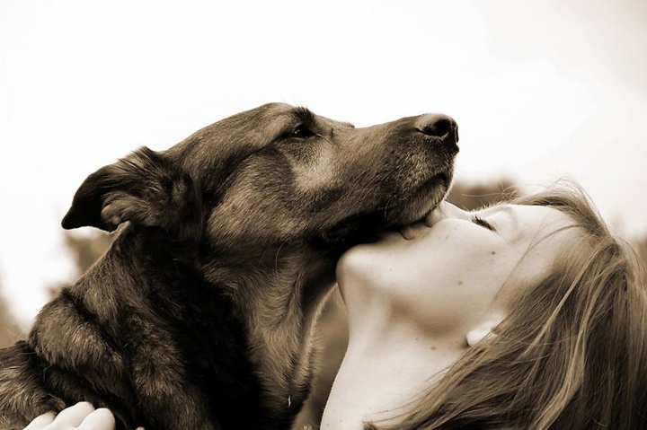 Imagen - C&oacute;mo usar Internet para encontrar animales perdidos
