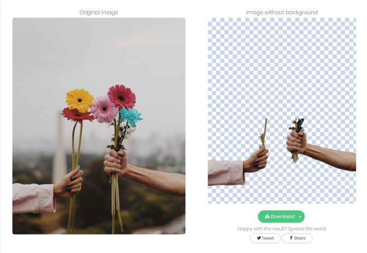 Imagen - C&oacute;mo eliminar el fondo de una foto en 5 segundos