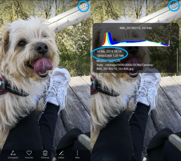 Imagen - &iquest;Qu&eacute; son los datos EXIF de una foto?